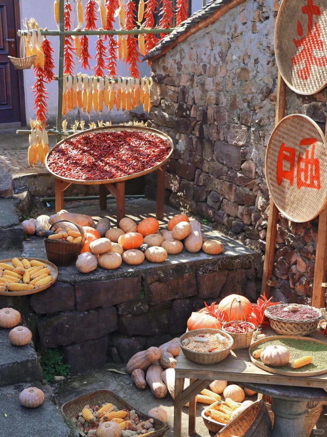 是时候了!!把简历投给浙江的美丽乡村?