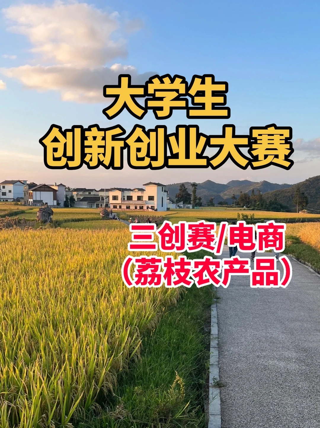 乡村振兴/电商（农产品）三创赛创新创业