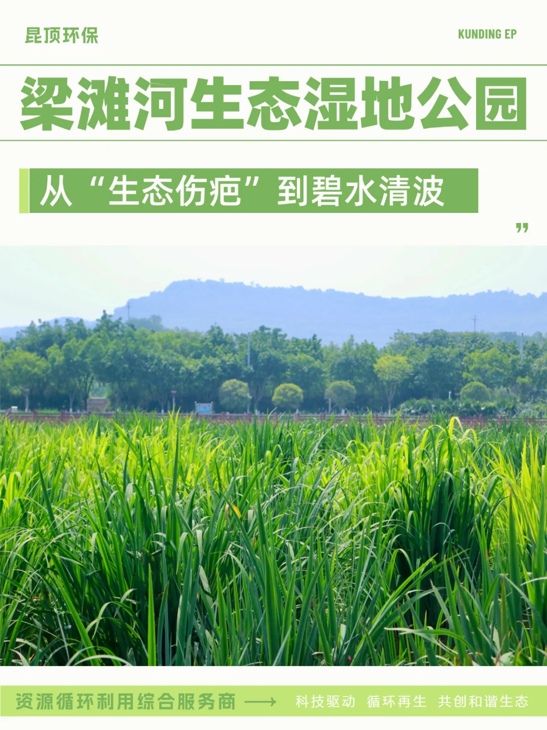 从生态伤疤到碧水清波 见证梁滩河重生
