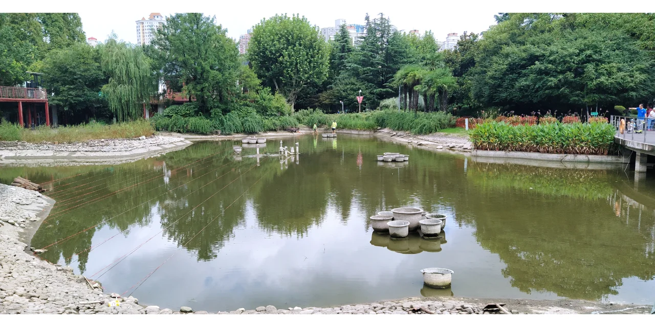 水下森林奇迹,生态界面打造完美水生生态!