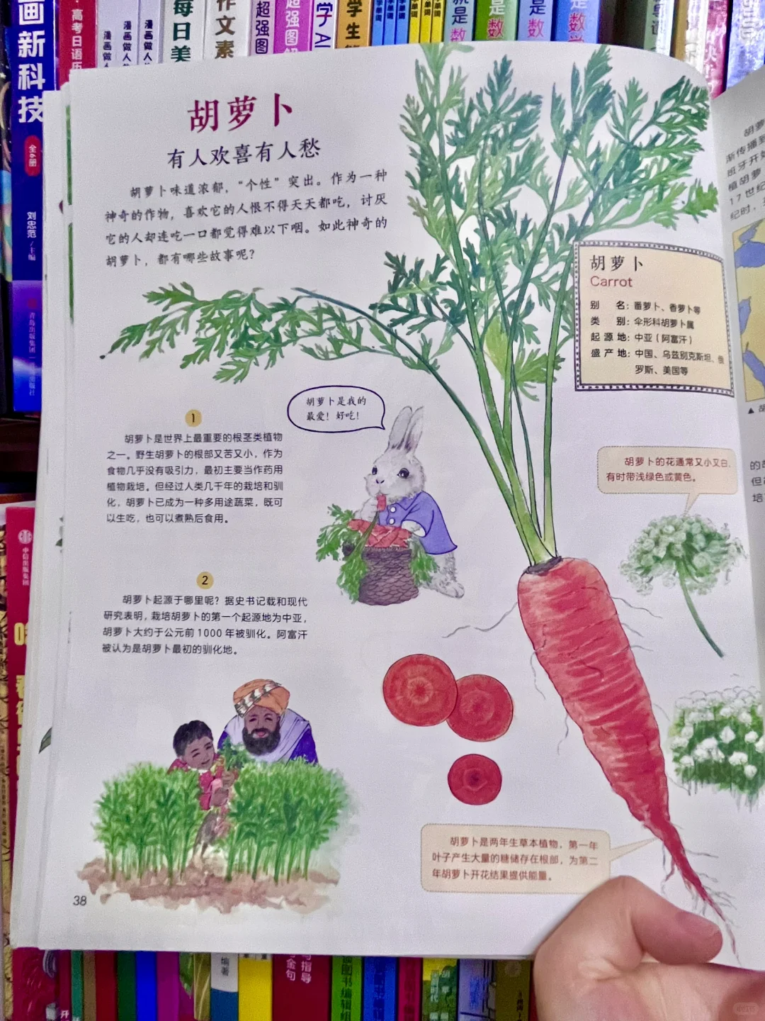 咋办呀!我真的沉醉在这绘本里了!命根子书!!