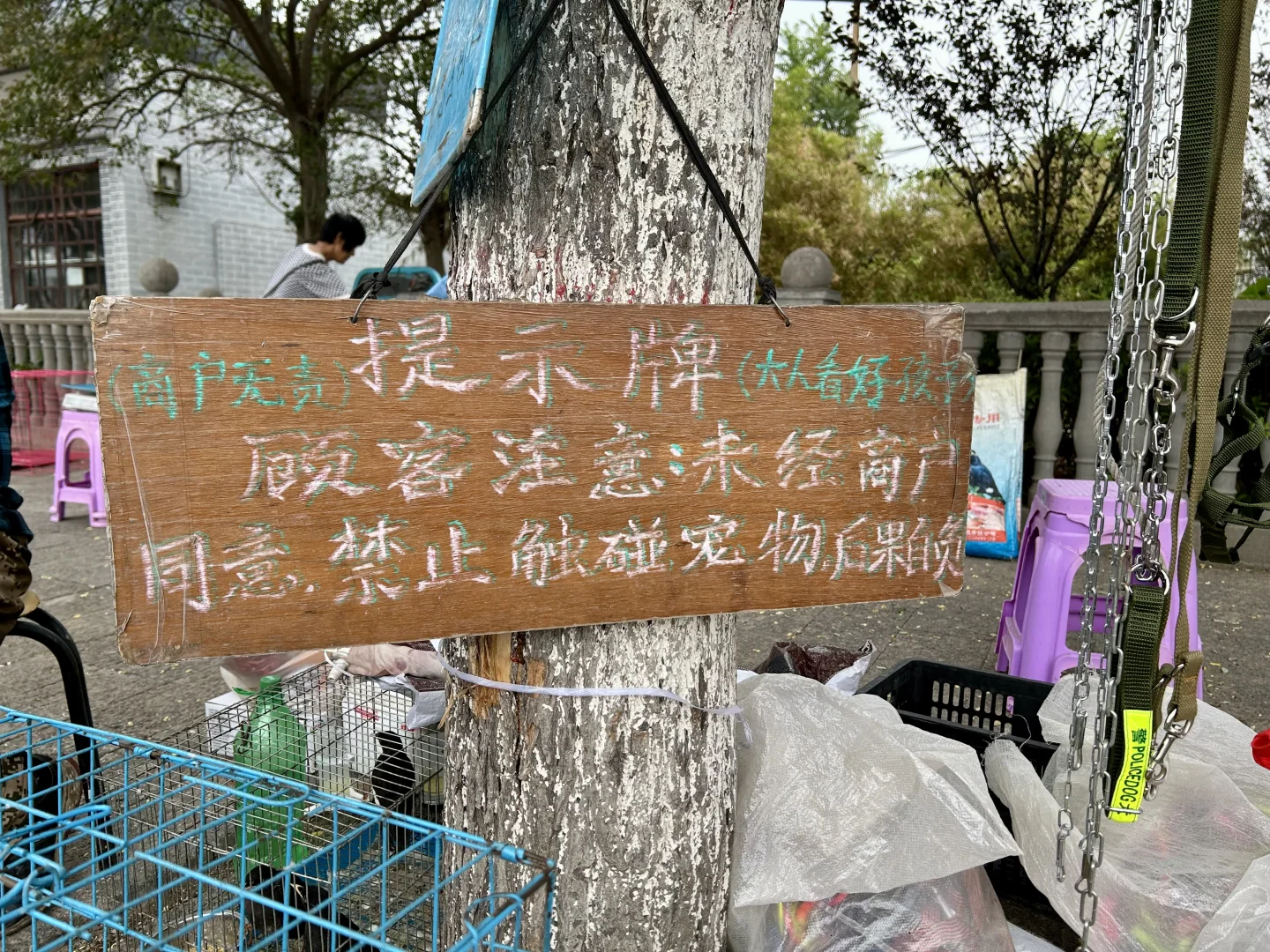 河北邯郸峰峰矿区黑龙洞小记