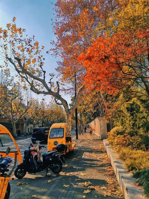 武夷路：非标商业体招商品牌餐饮、零售等