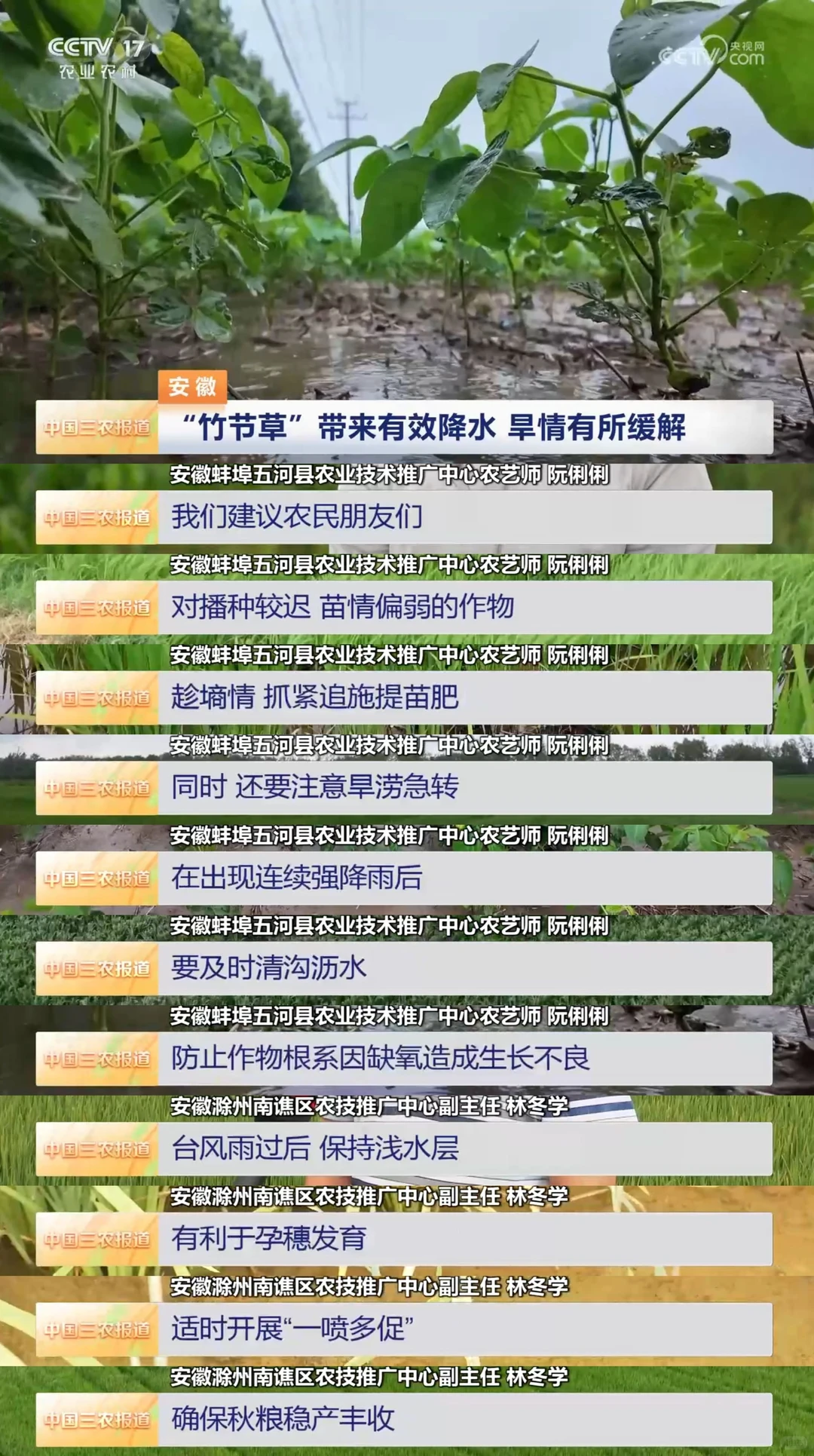 2025年8月1日农业新闻摘录。