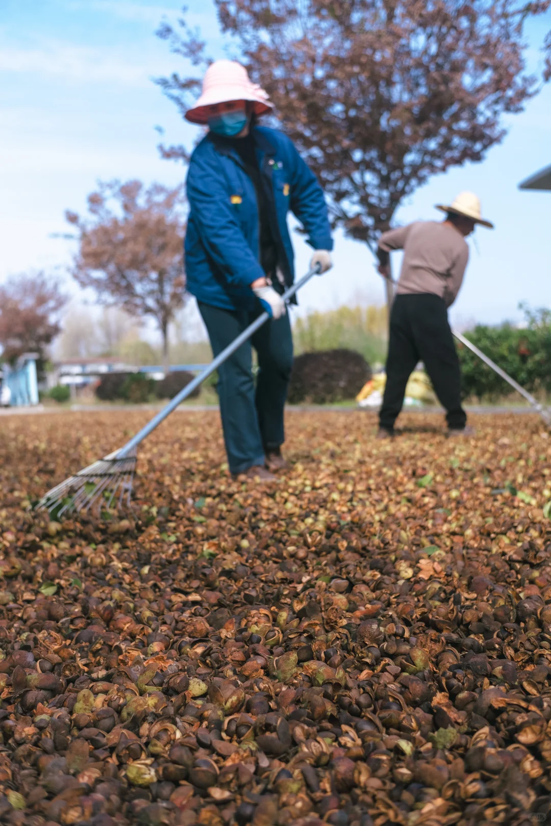 你好，联兴｜Vo.3 硕果累累，继往开来