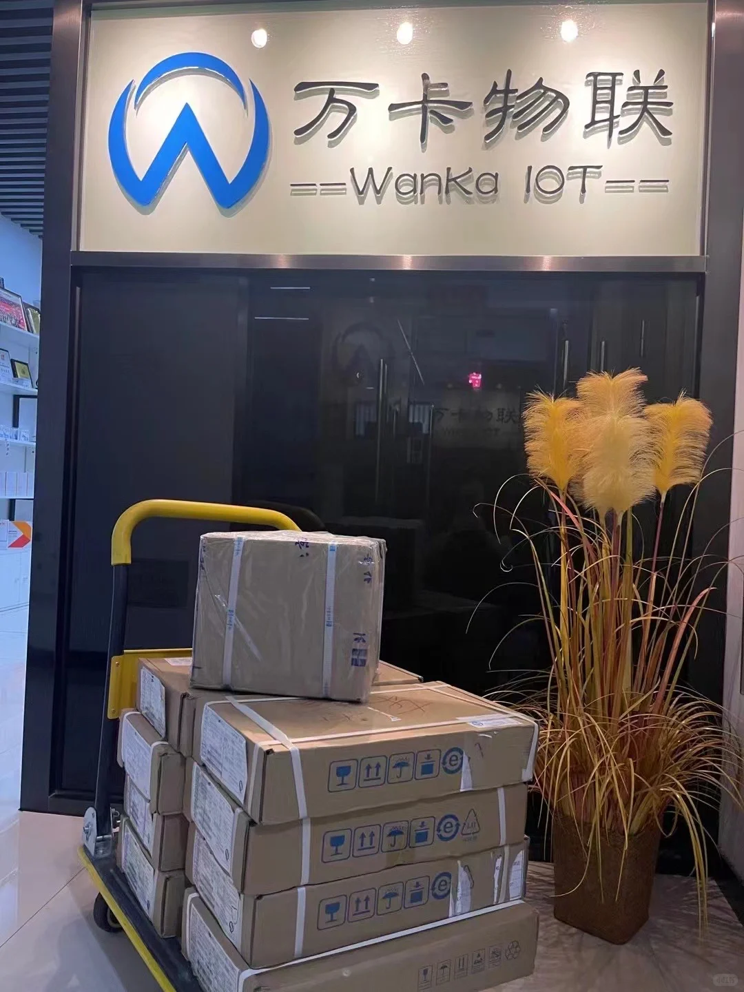 金牌物联网合作企业是什么样的？