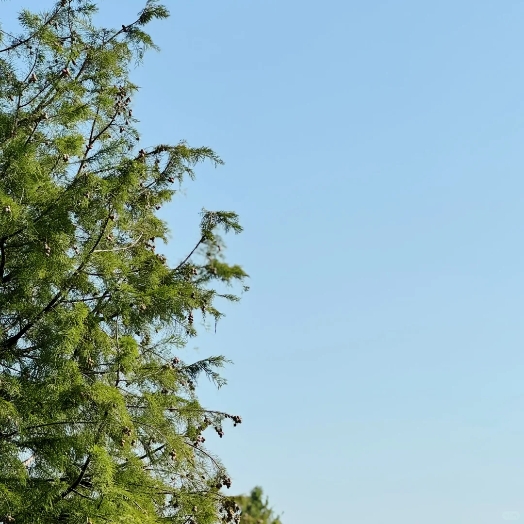 AAA建材批发王哥