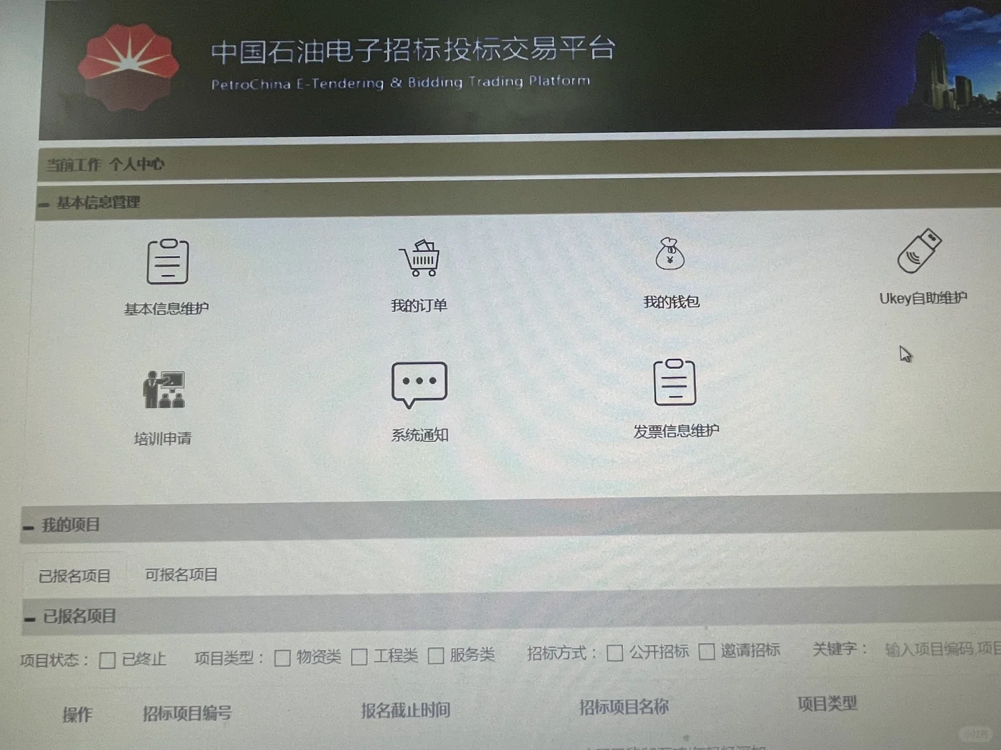 中石油标书代写