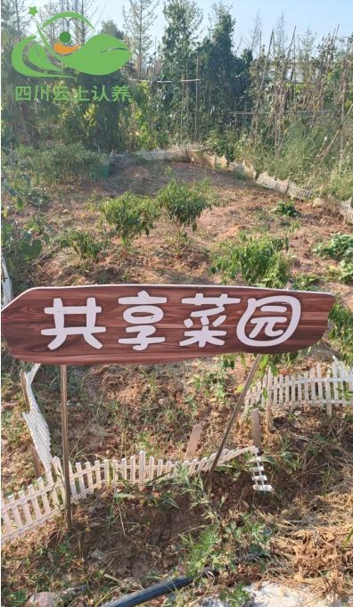 承包土地种菜结合认养农业的前景分析