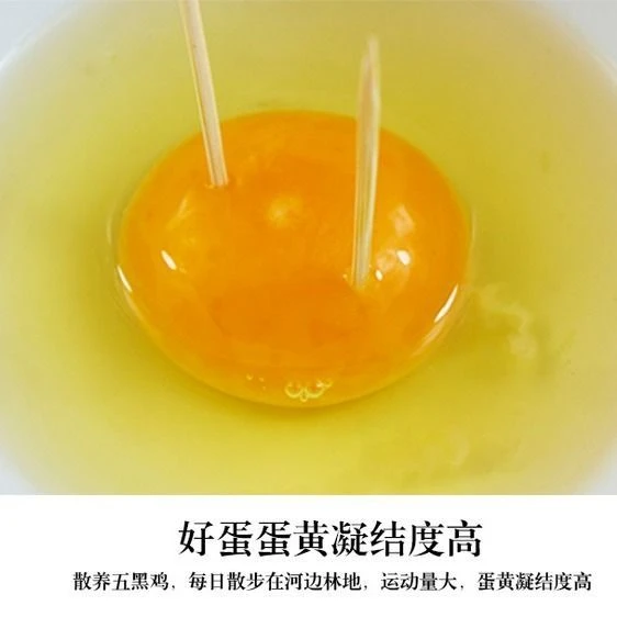 这里产的绿壳鸡蛋你吃过吗？
