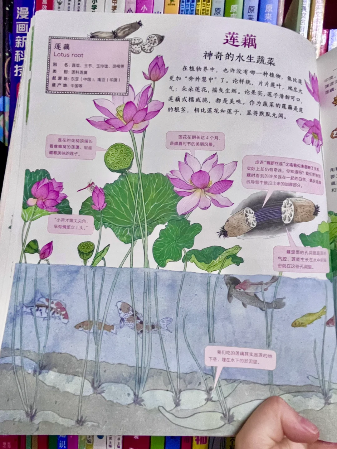 咋办呀!我真的沉醉在这绘本里了!命根子书!!