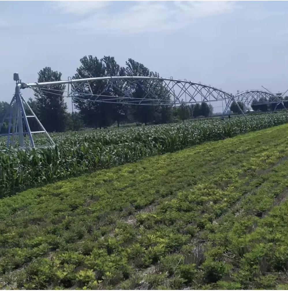 采: 农业喷灌系统 10台，25亩地 ＃出口