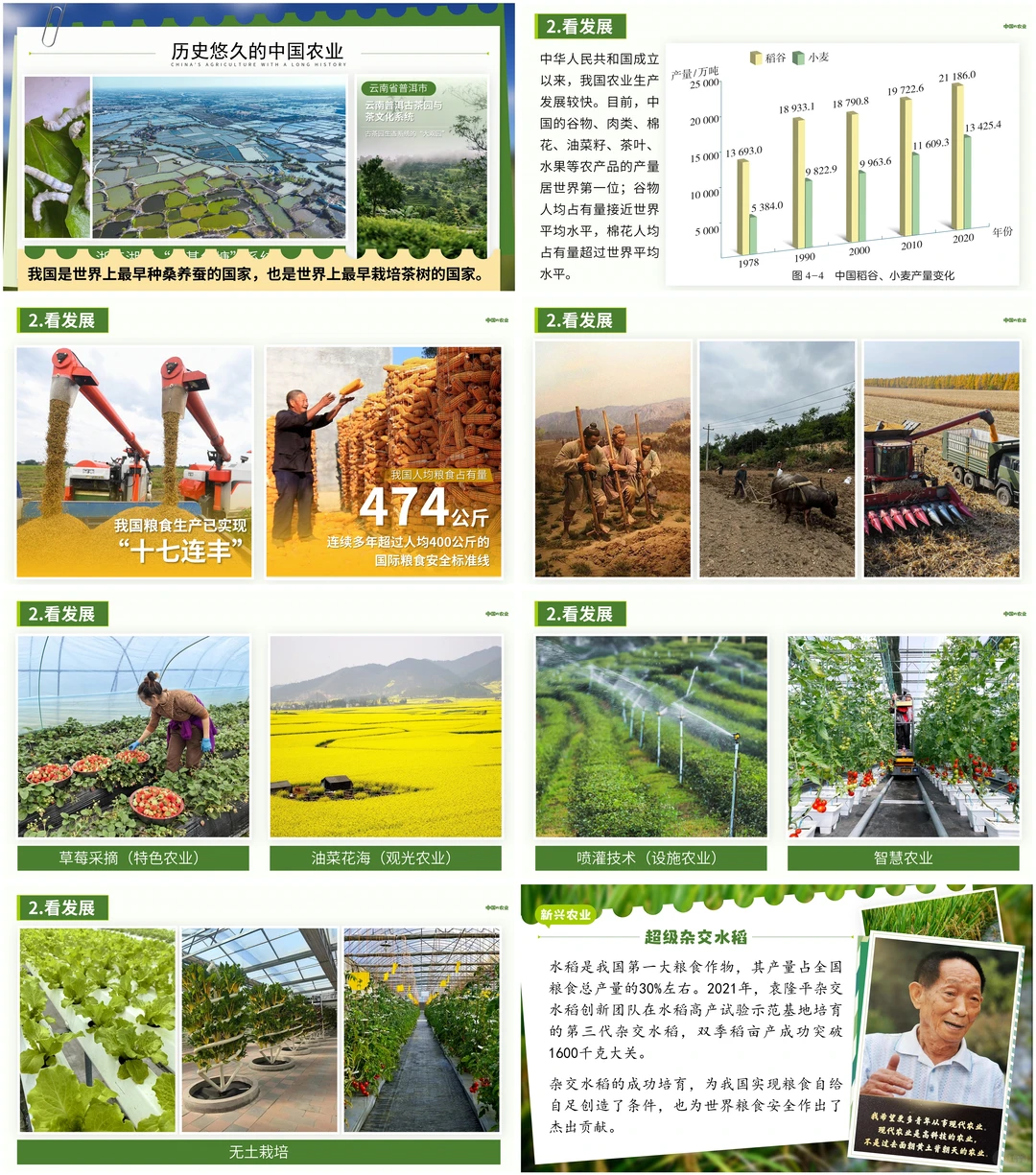 八上地理|从兰州牛肉面到《中国的农业》