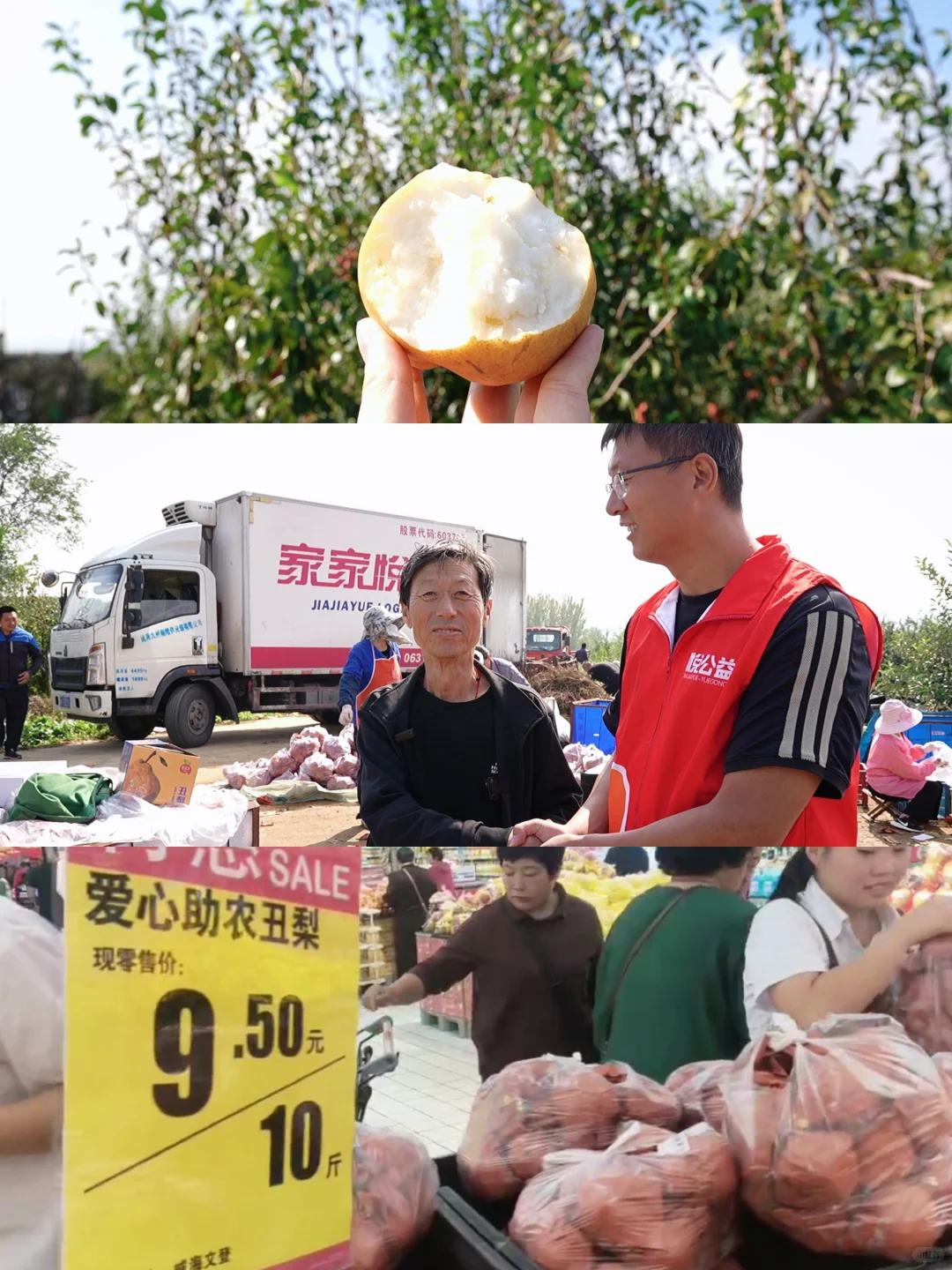 家家悦爱心接力，果农“愁梨”变“暖梨”