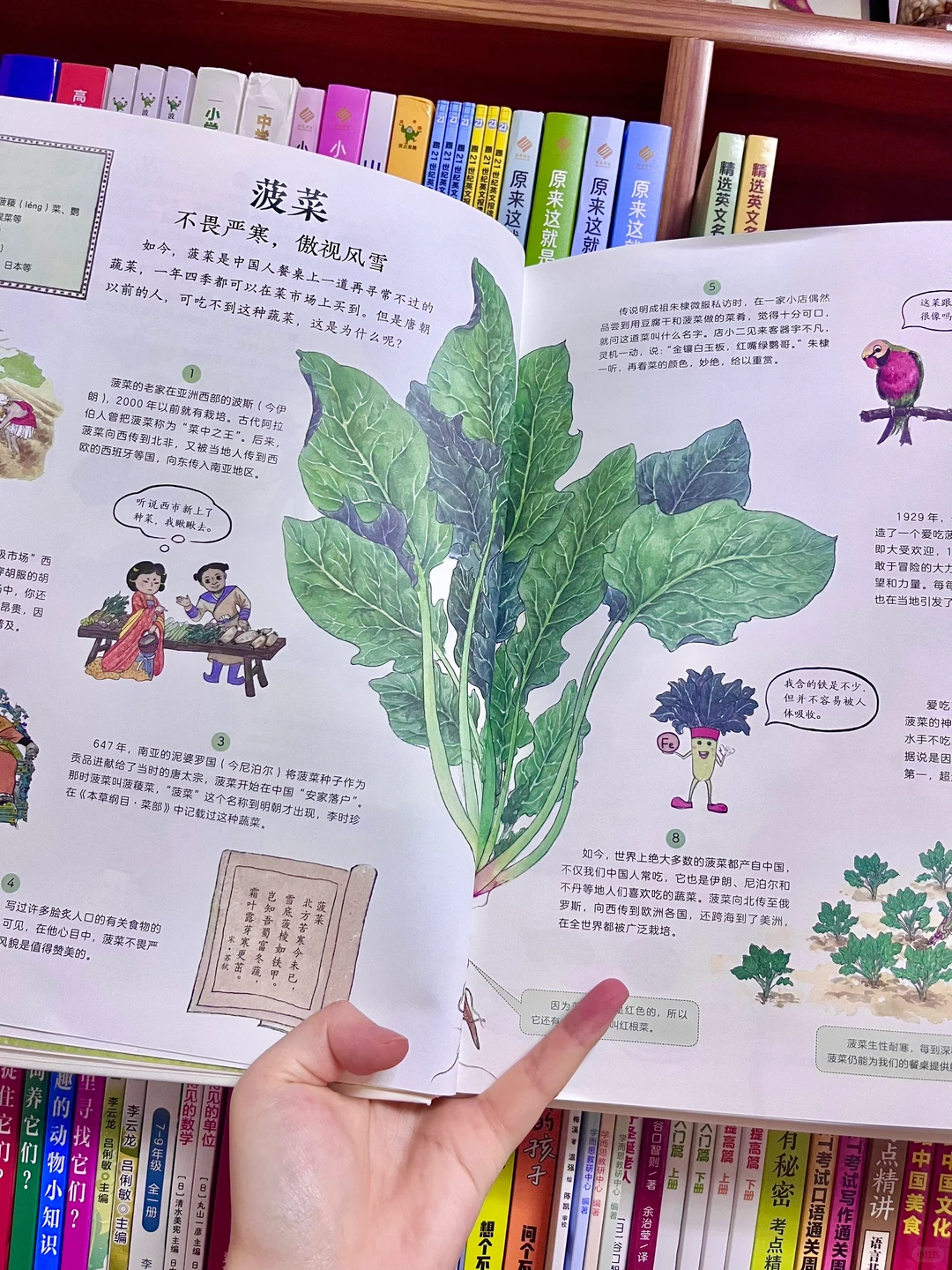 咋办呀!我真的沉醉在这绘本里了!命根子书!!