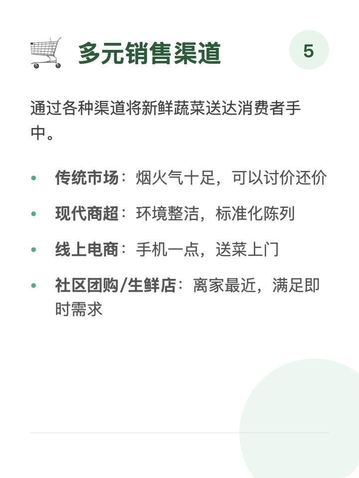 每天一条供应链「蔬菜」?