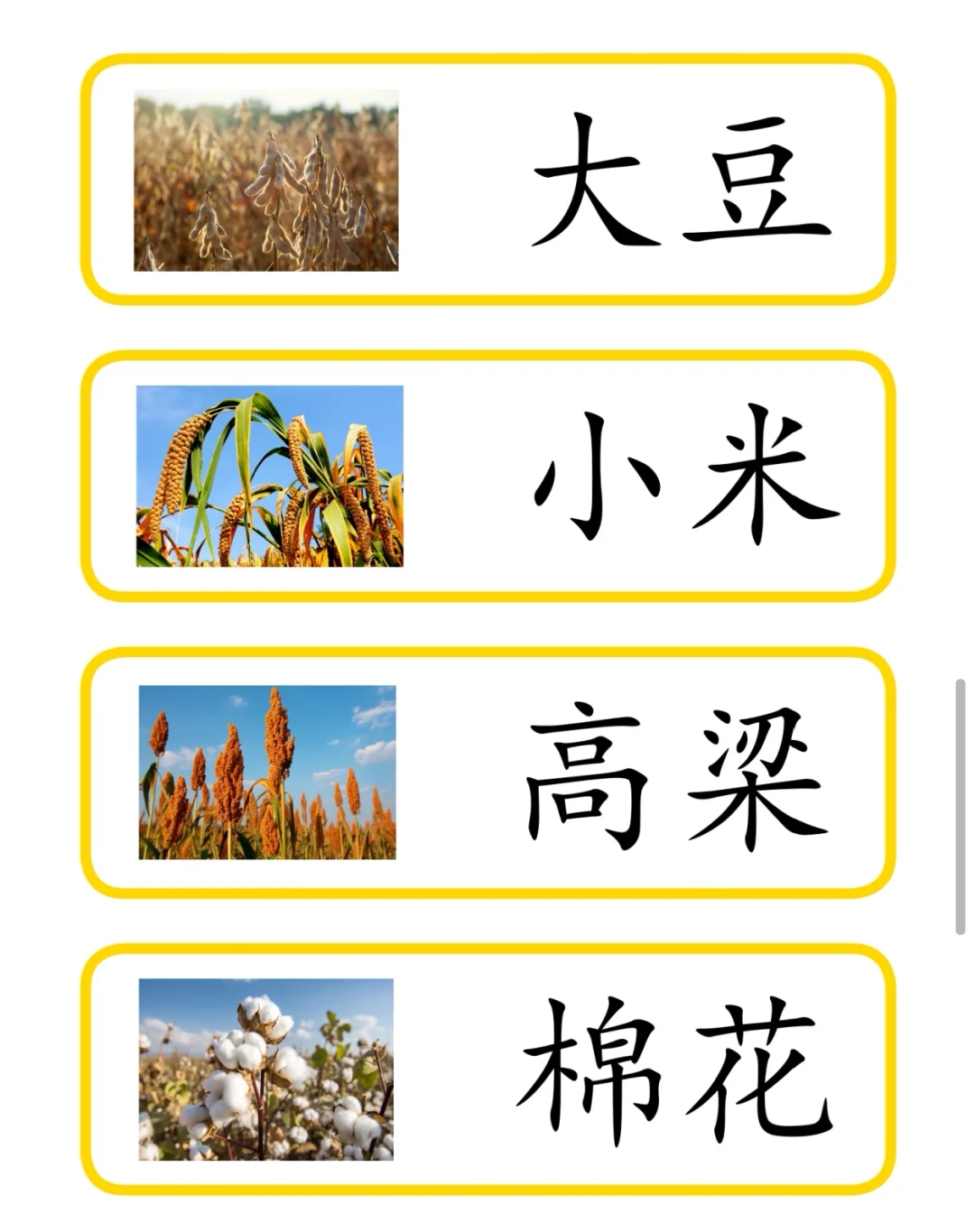 秋天收，三段卡