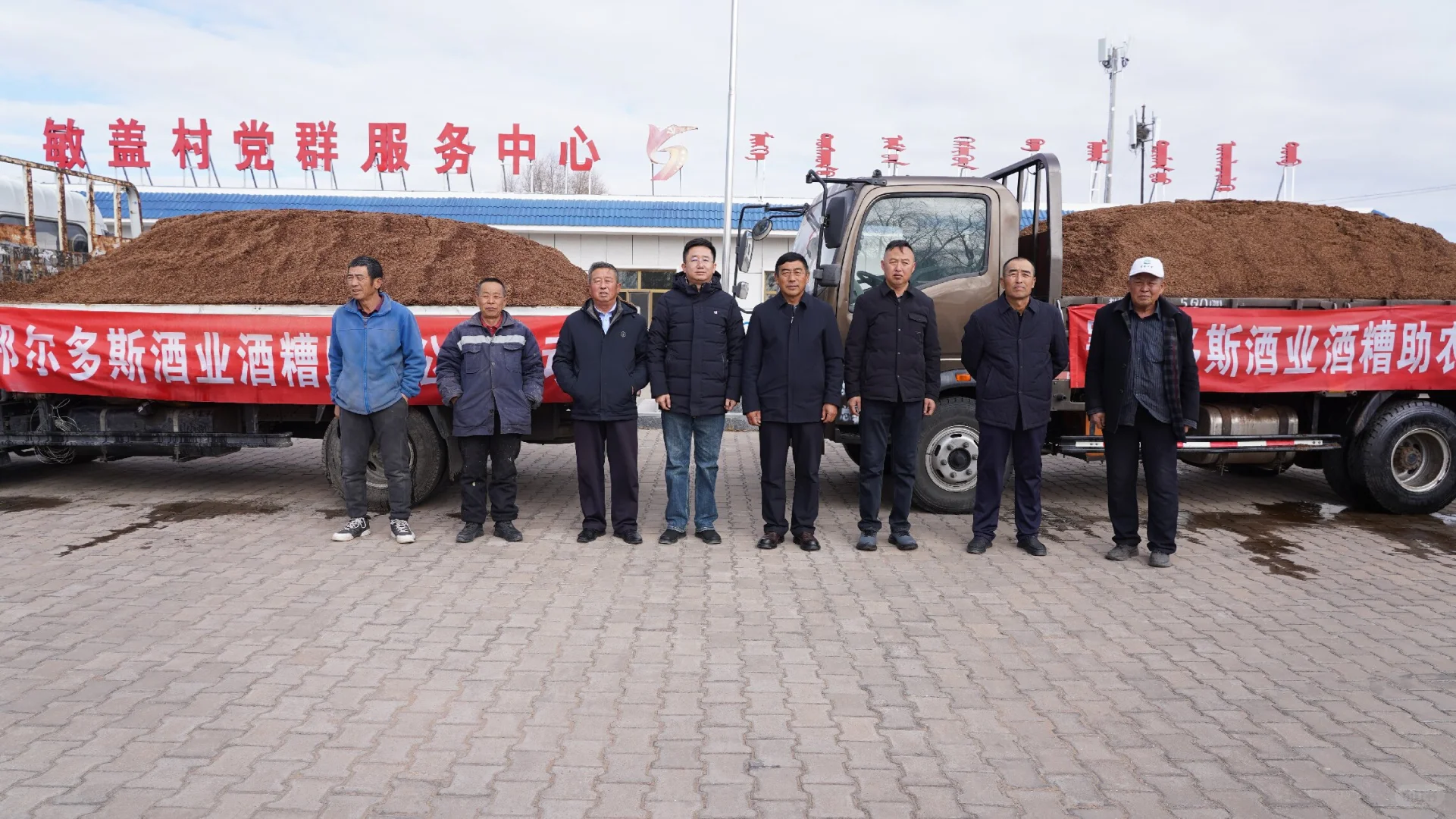 酒糟变“饲宝”鄂尔多斯酒业公益助农暖民心