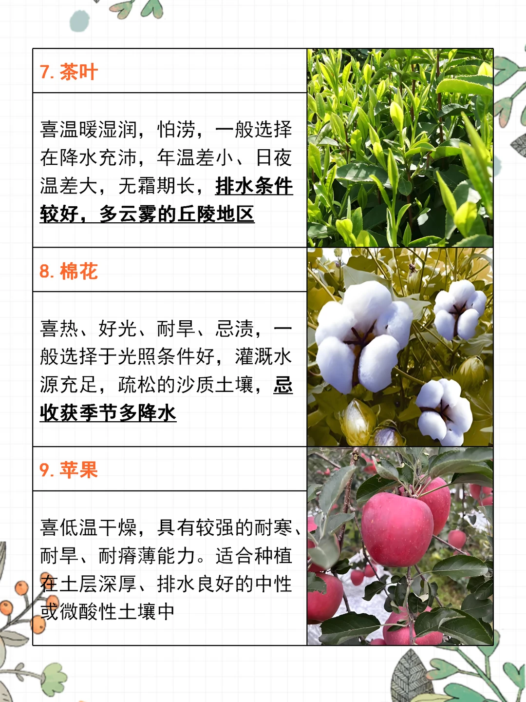 高考地理 | 15种农作物生长习性