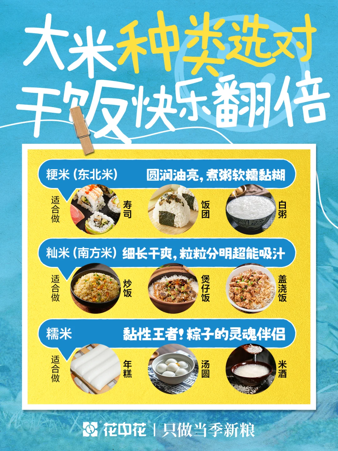 干饭人?过来 一篇教会你选出梦中情米!