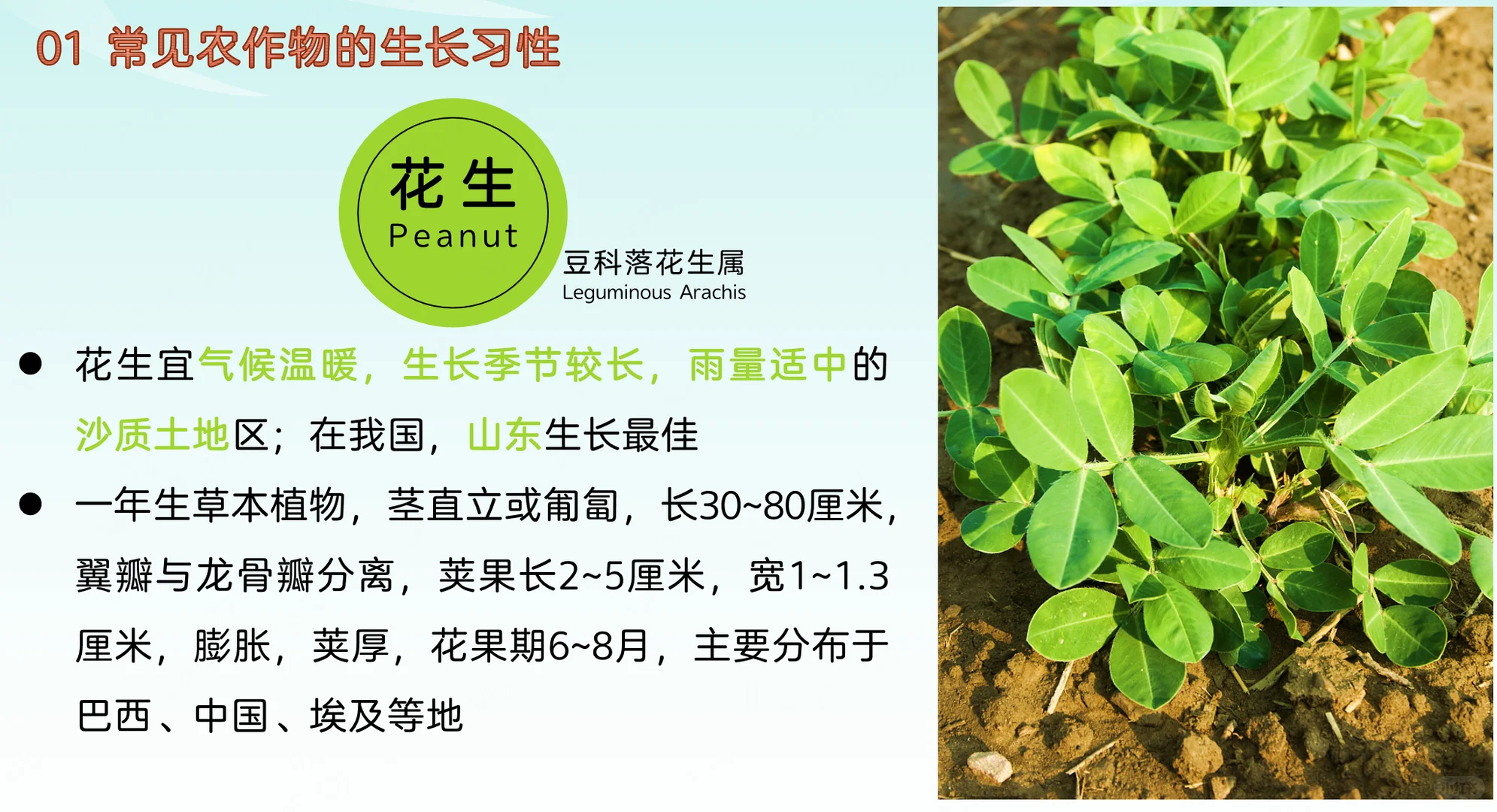 地理热点：常见农作物的生长习性