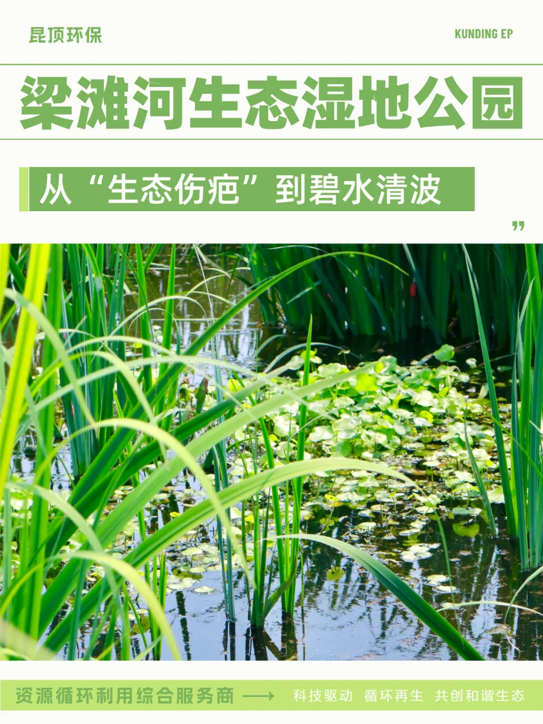 从生态伤疤到碧水清波 见证梁滩河重生