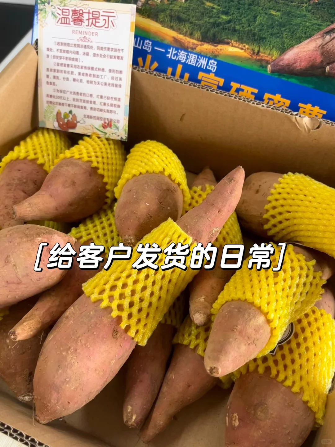 一个月帮家里卖一万斤红薯，是种什么体验⁉️