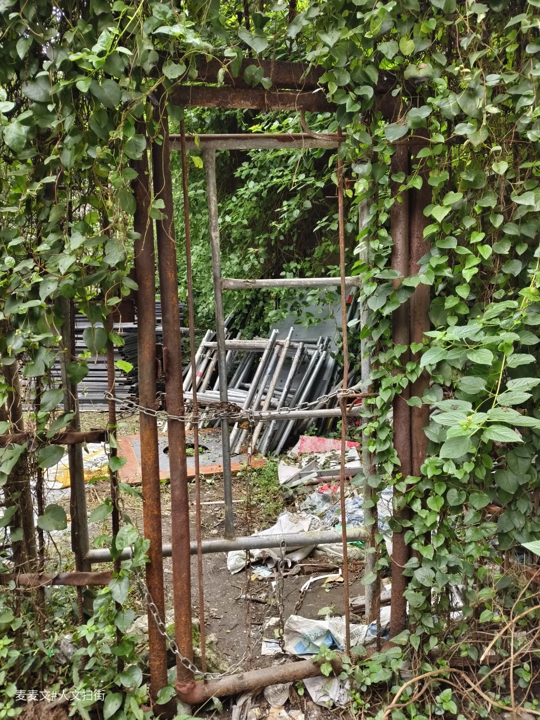 【江津】茶叶机械厂从热闹车间到寂静空院