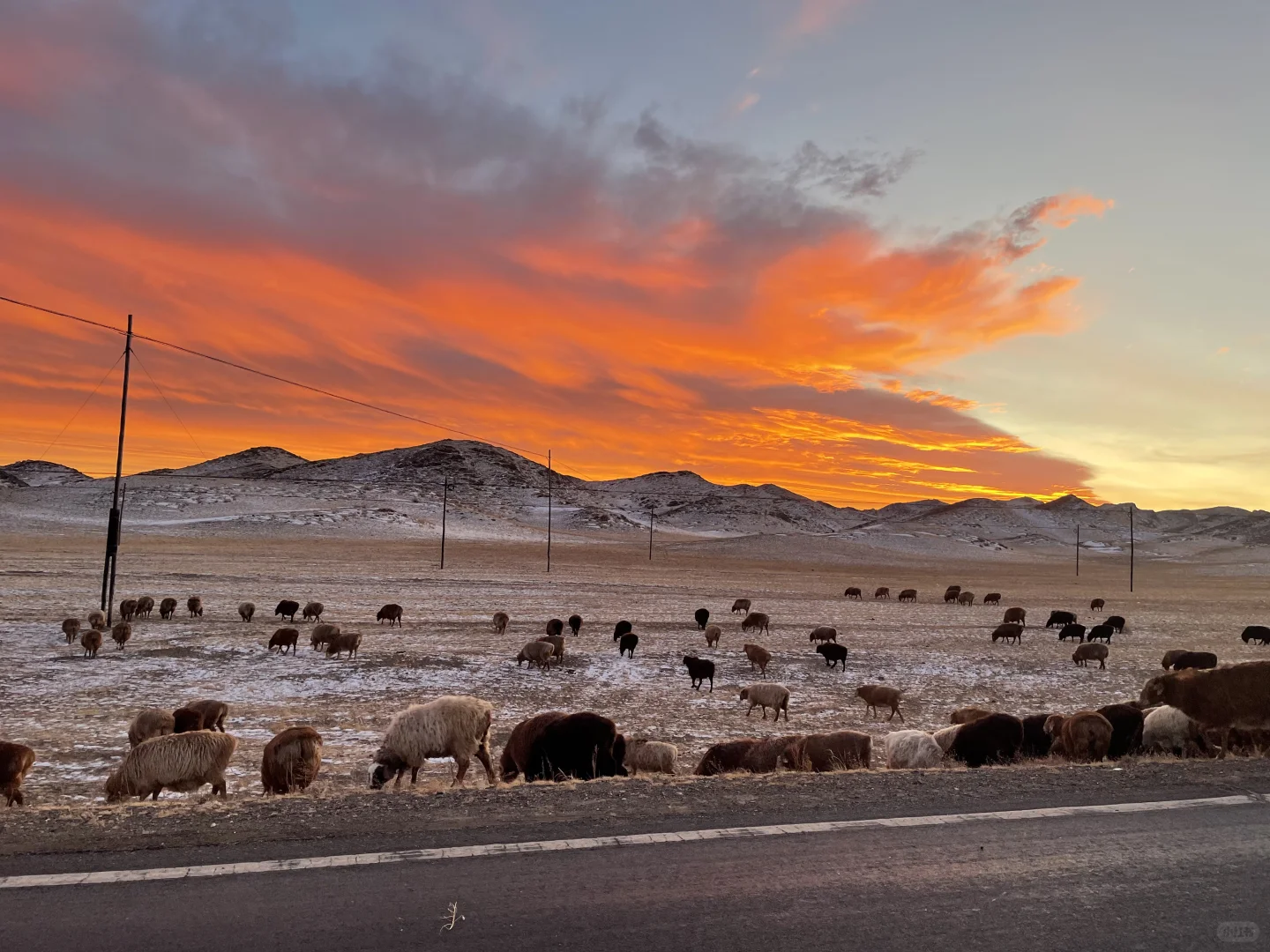 219之行—追云记11/27