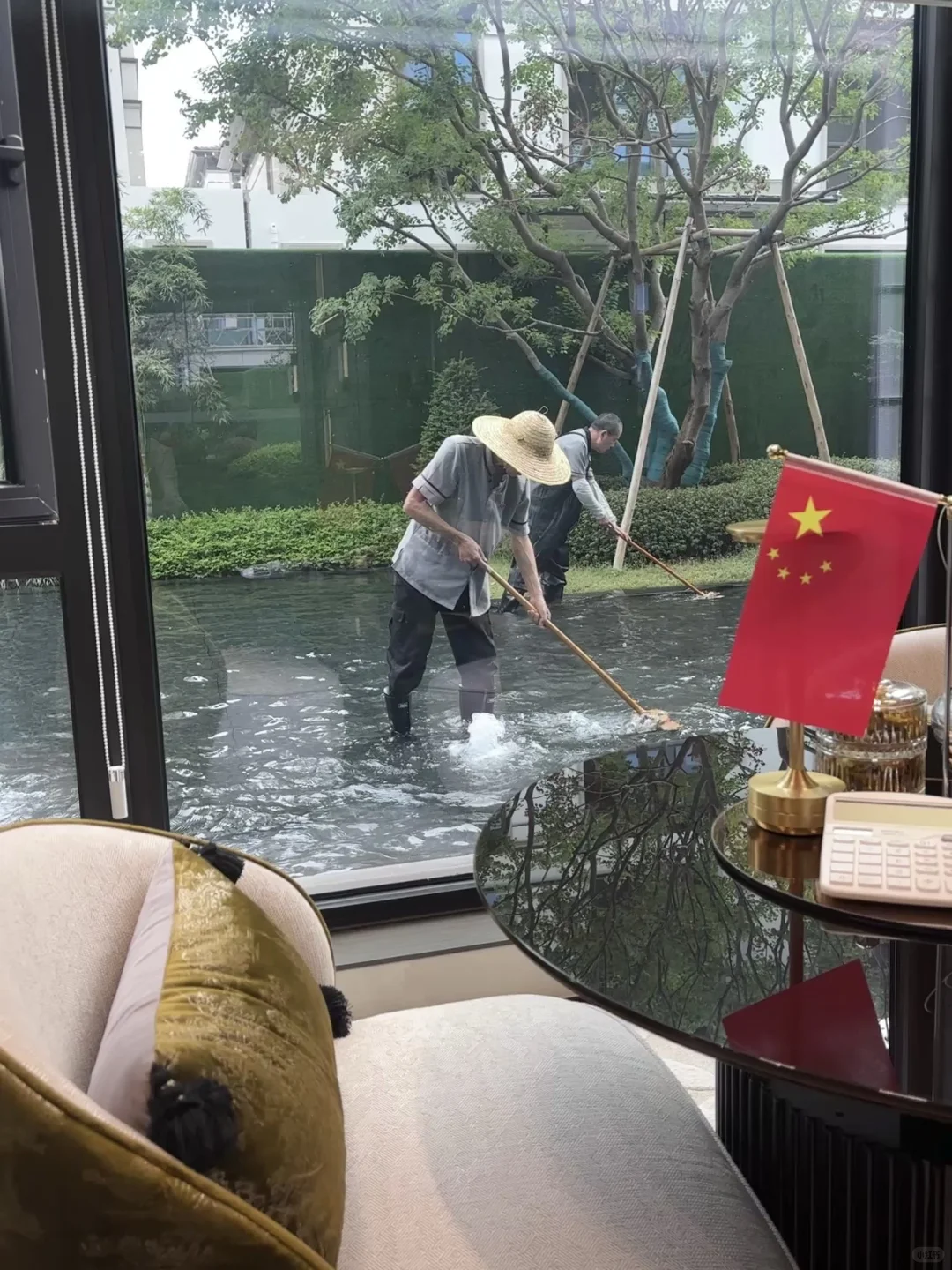 水系园林怎么打理啊