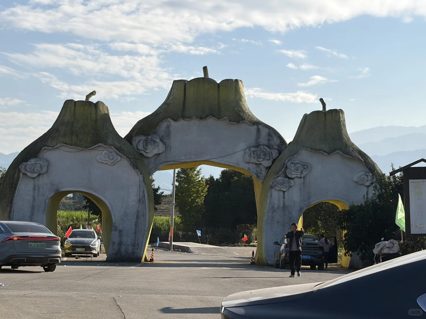 爱吃柚子的姐妹看过来，正宗江永香柚