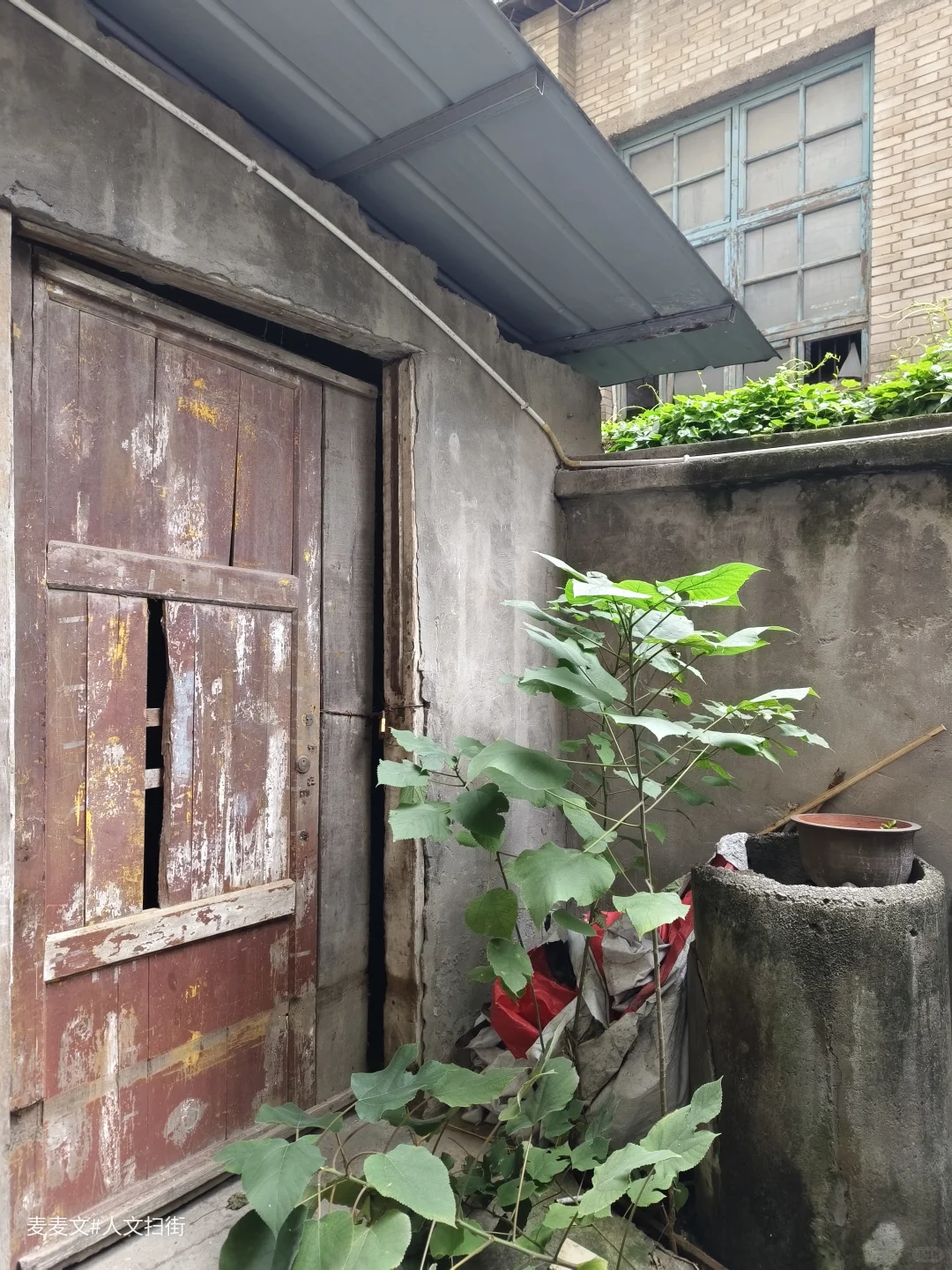 【江津】茶叶机械厂从热闹车间到寂静空院