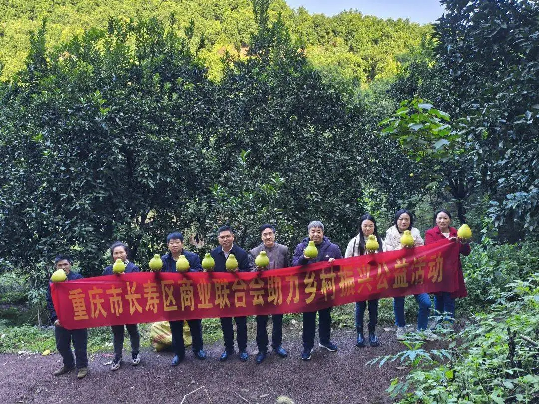 长寿区商联会助农助残绘就乡村振兴新画卷