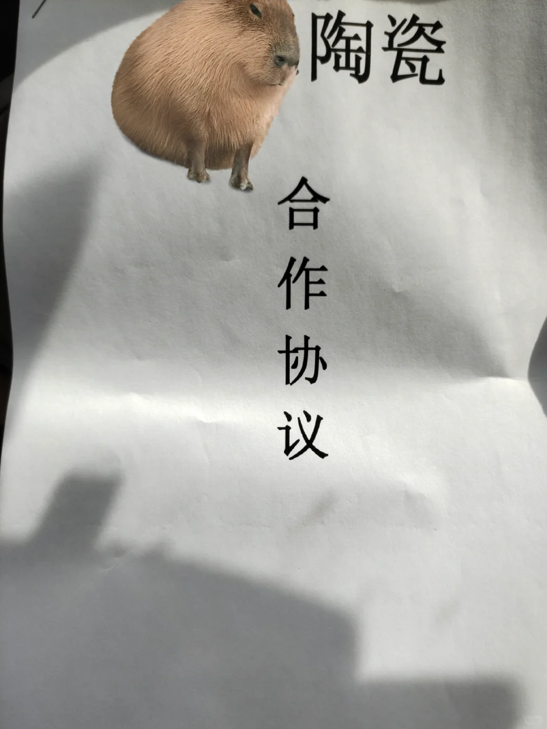 最大的加盟骗局