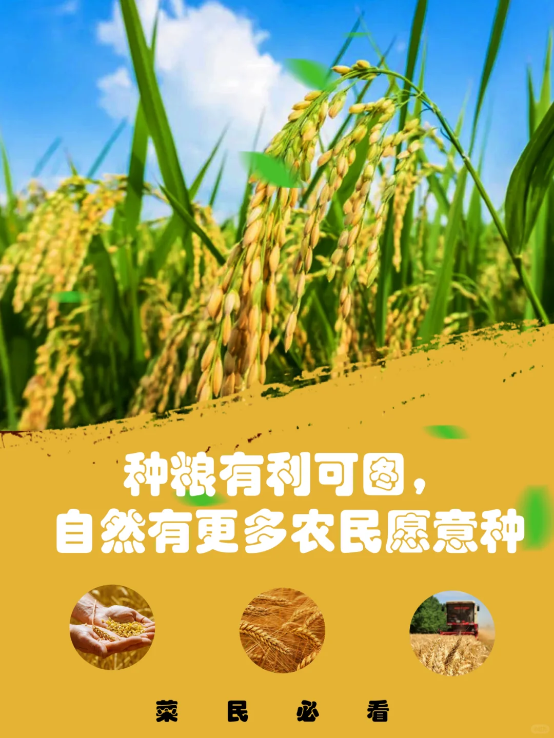 种粮有利可图，自然会有更多农民愿意种