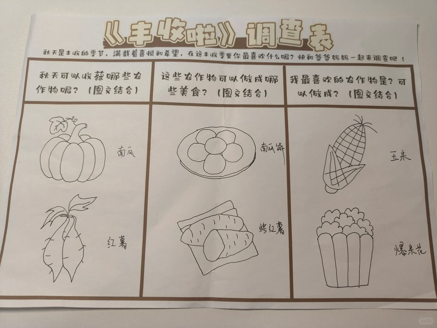 丰收啦调查表-幼儿园作业