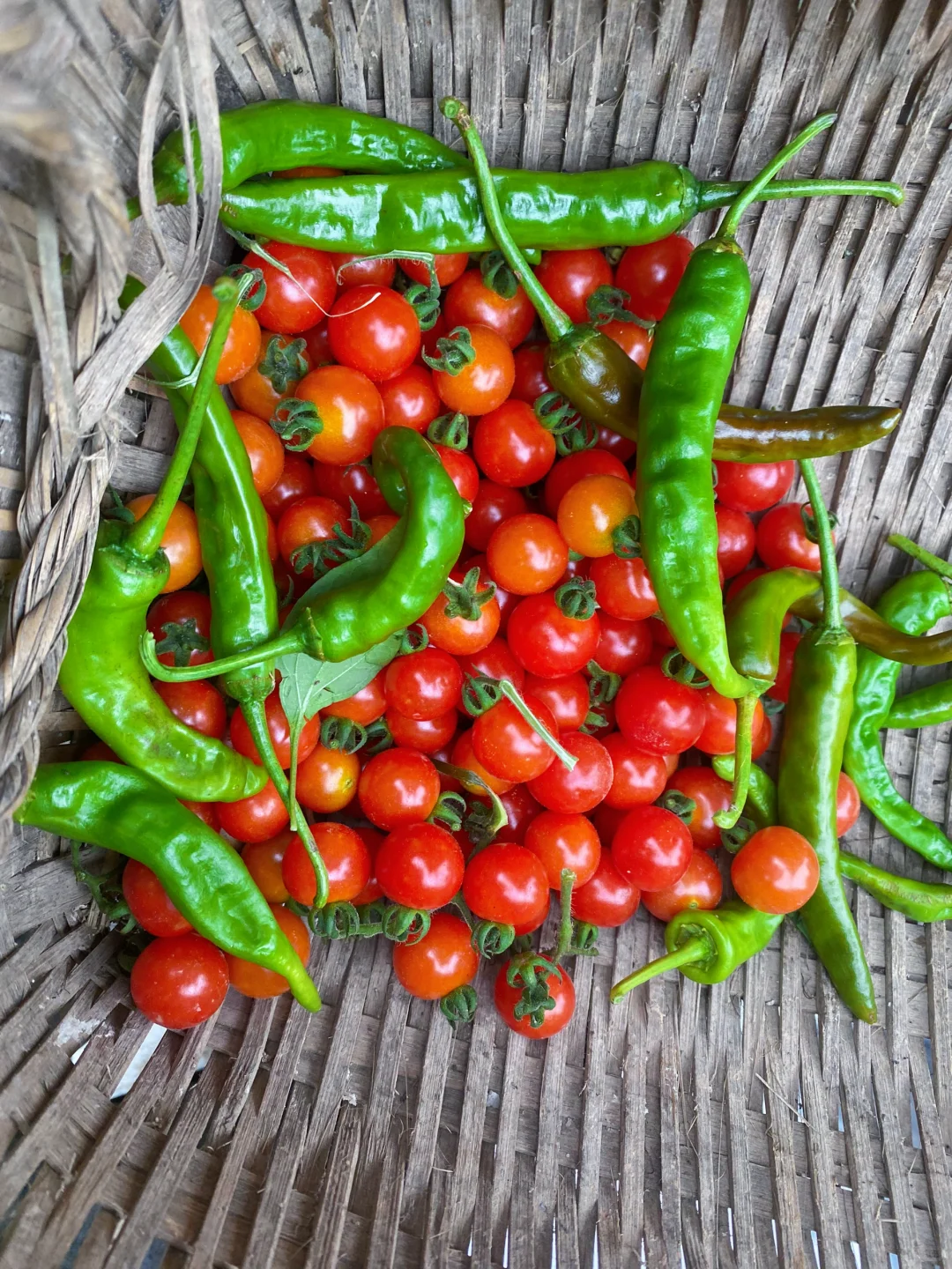 当我开始关心粮食和蔬菜后……