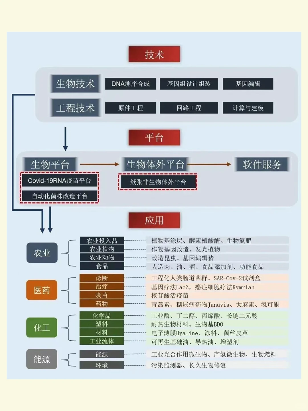 合成生物产业链