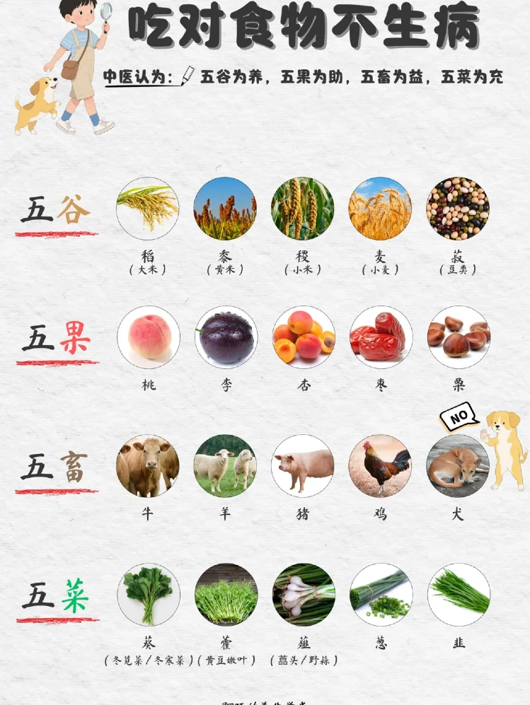 ?中式膳食结构|吃对食物不生病 。