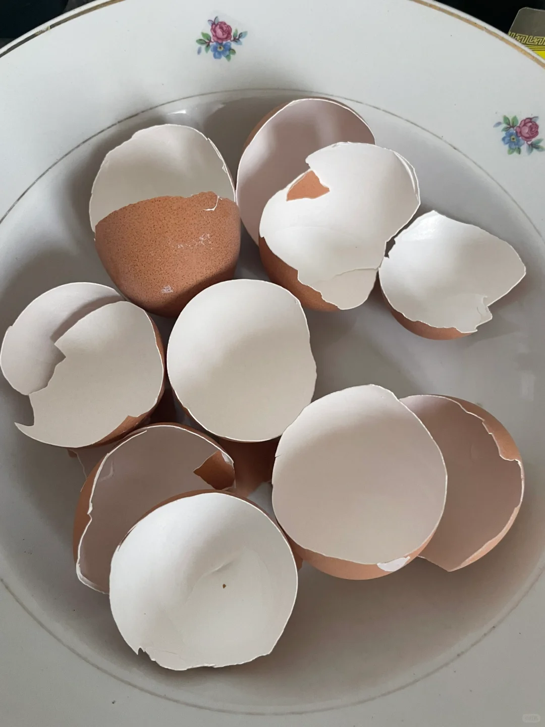 时尚｜环保材料｜纽扣