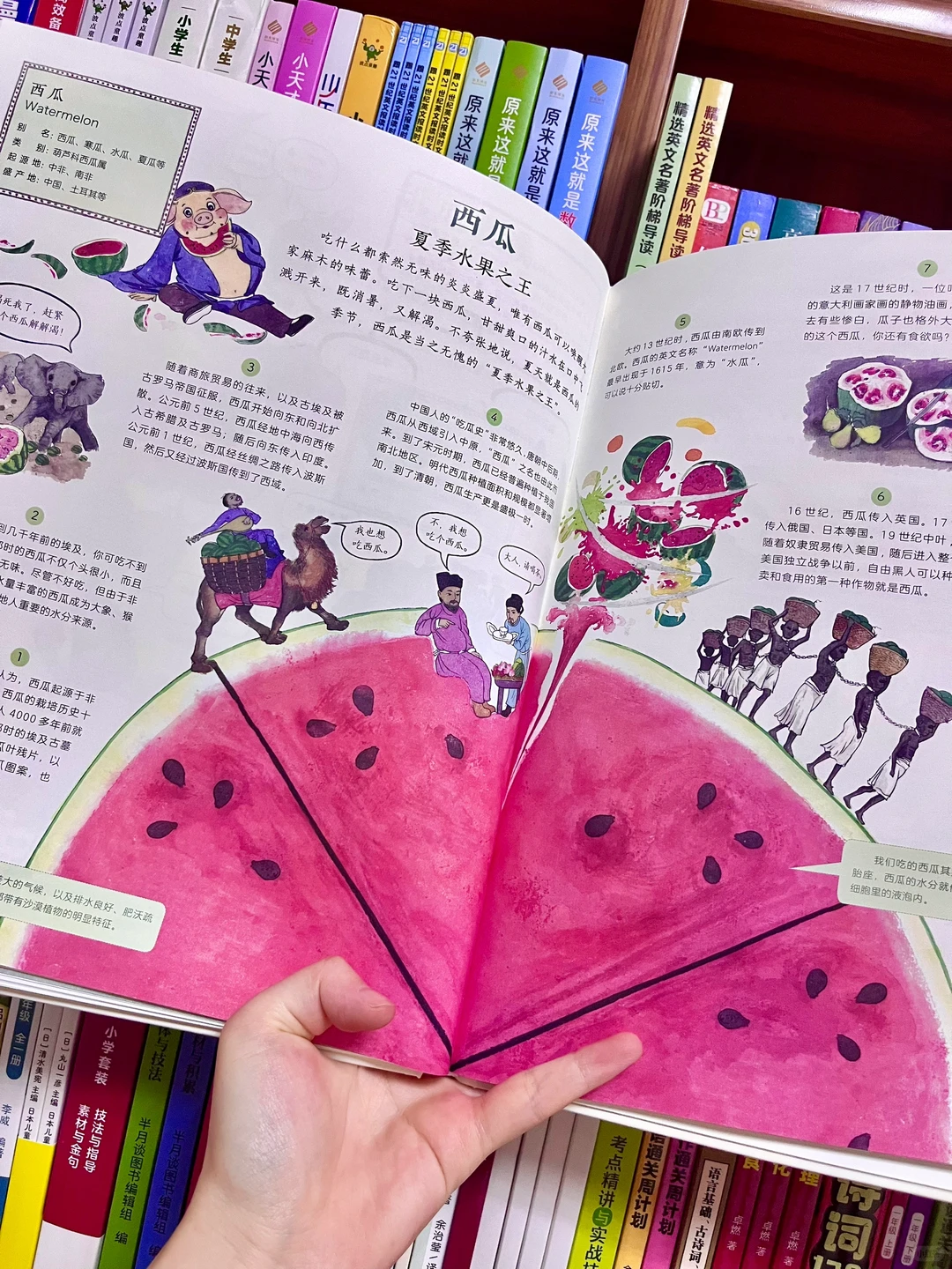 咋办呀!我真的沉醉在这绘本里了!命根子书!!