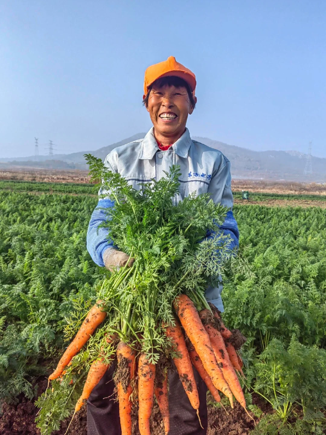 感恩节丨农人的喜悦金不换！