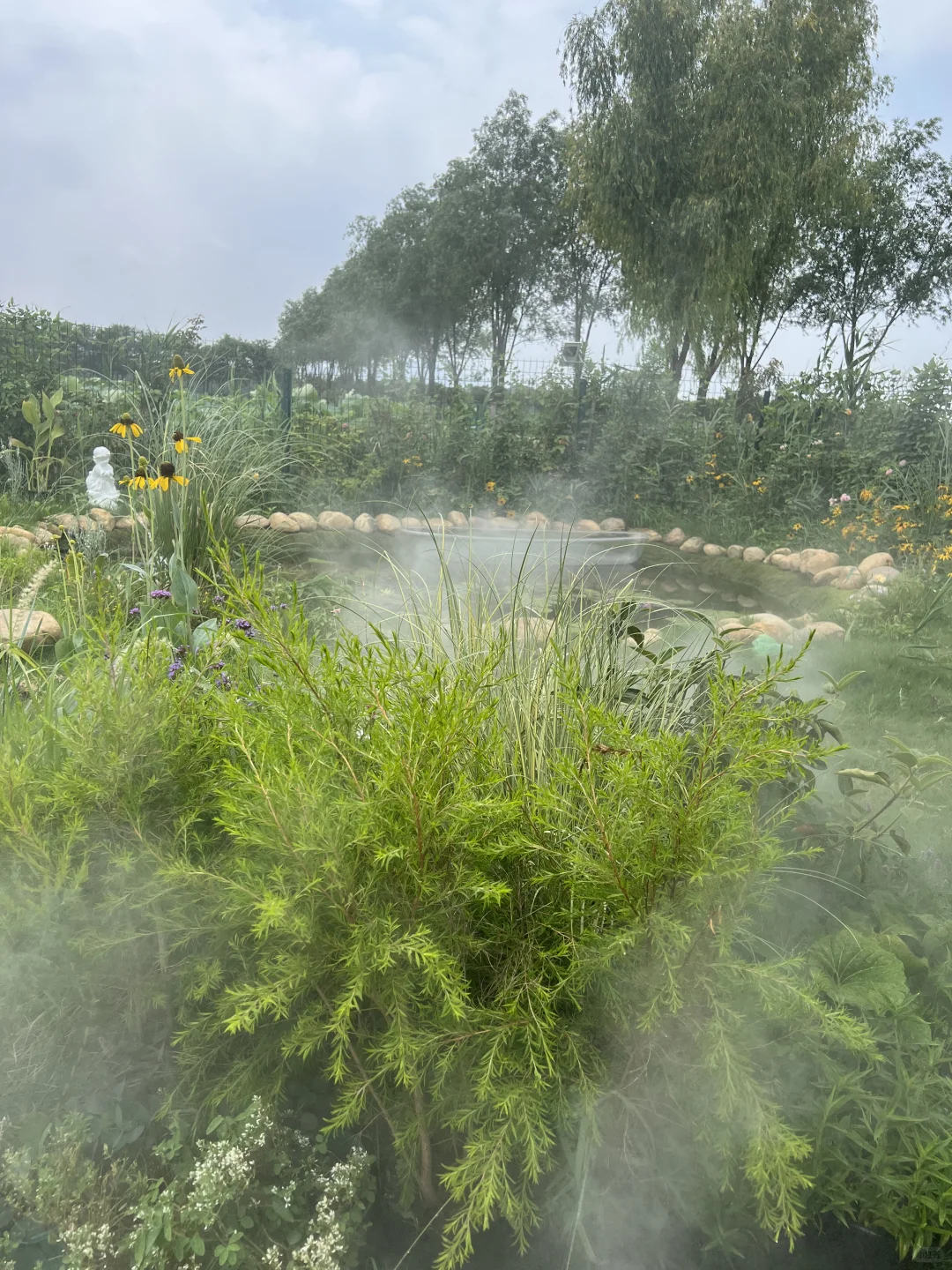 右划看臭水沟变身梦幻仙境