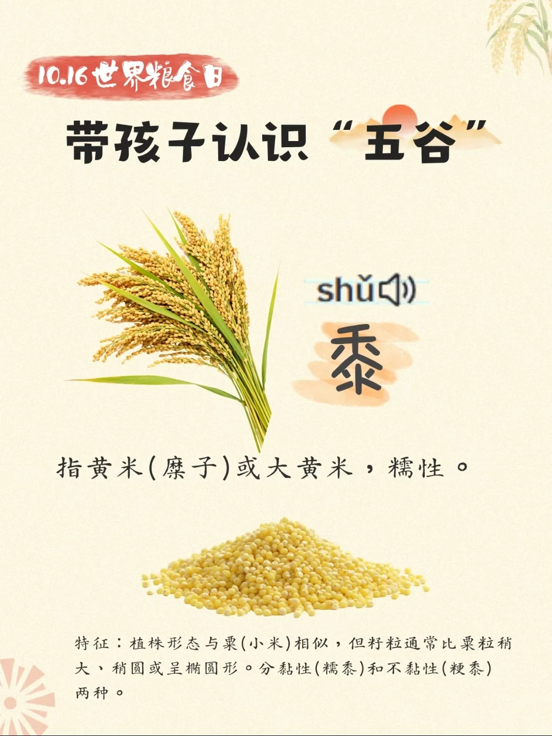 带孩子认识“五谷”