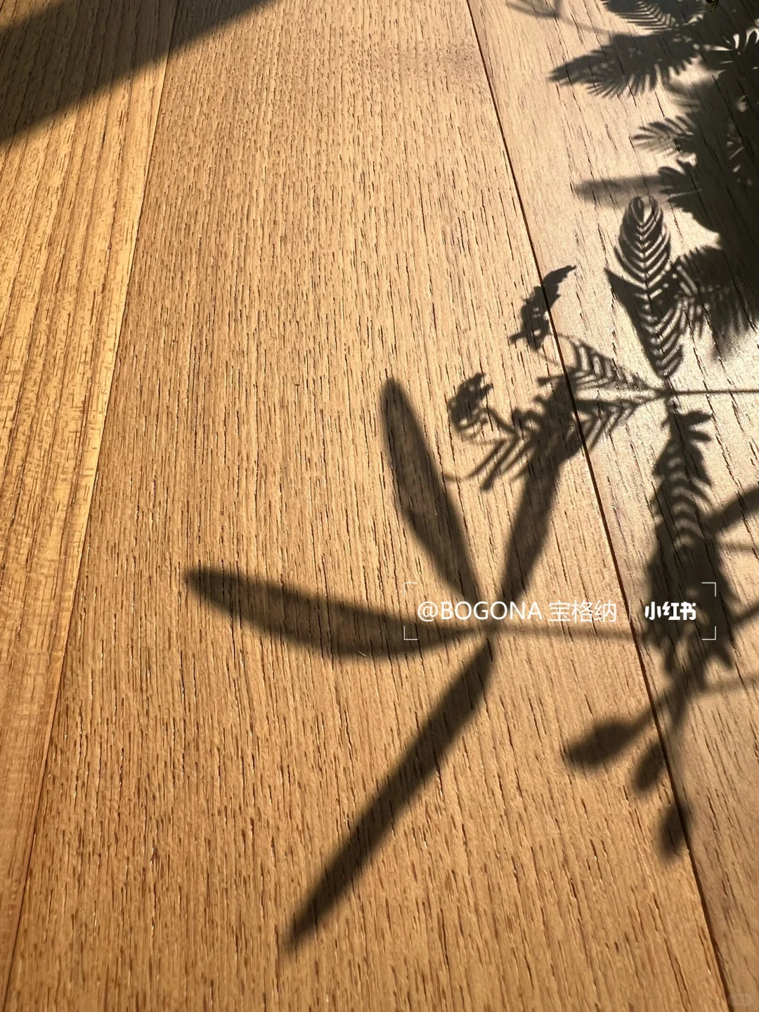 设计师狂喜！南浔20年地板大厂邀你联名搞事