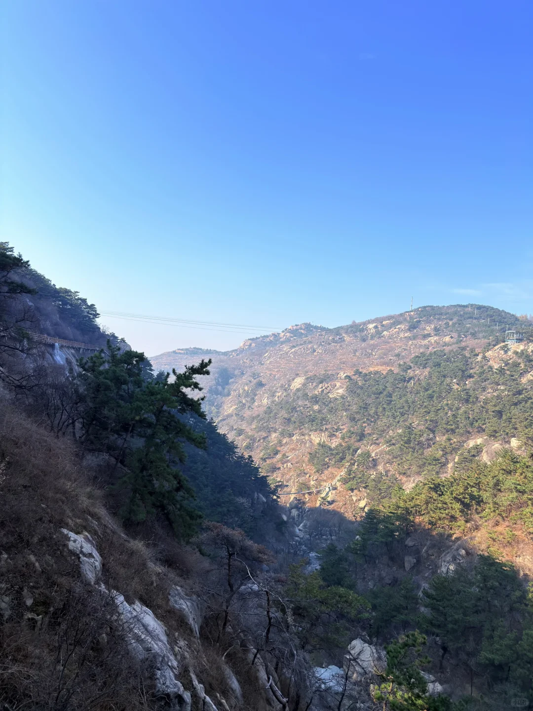 2025年11月25日下中国农业银行面试题