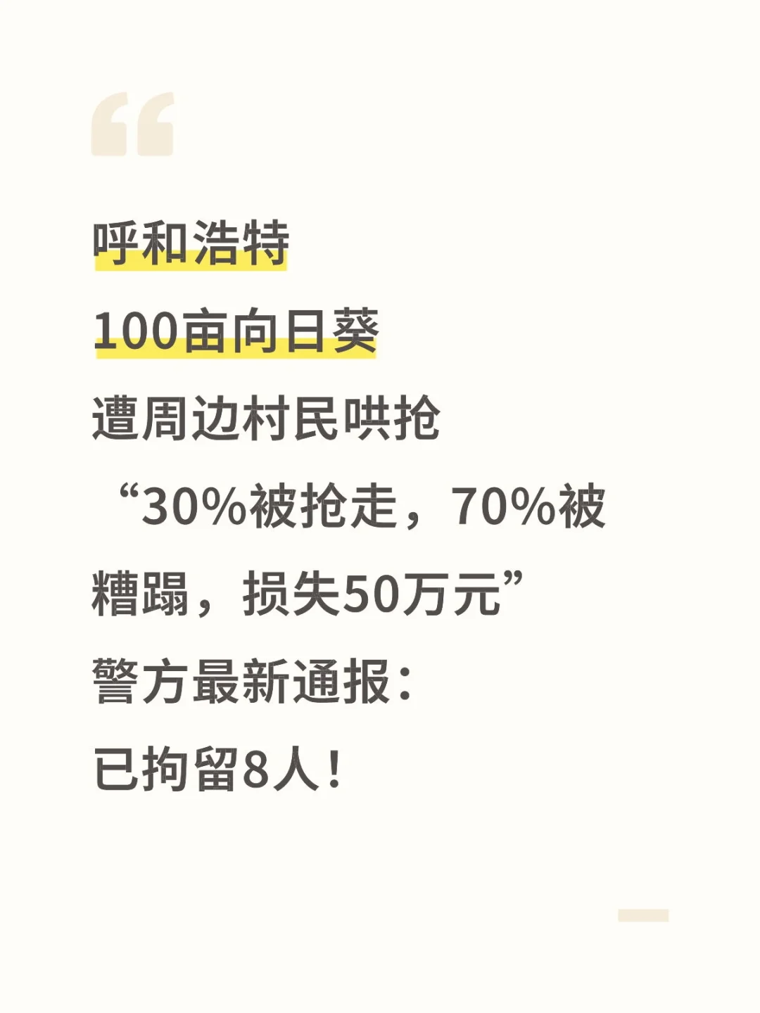 呼和浩特百亩向日葵遭哄抢，警方通报