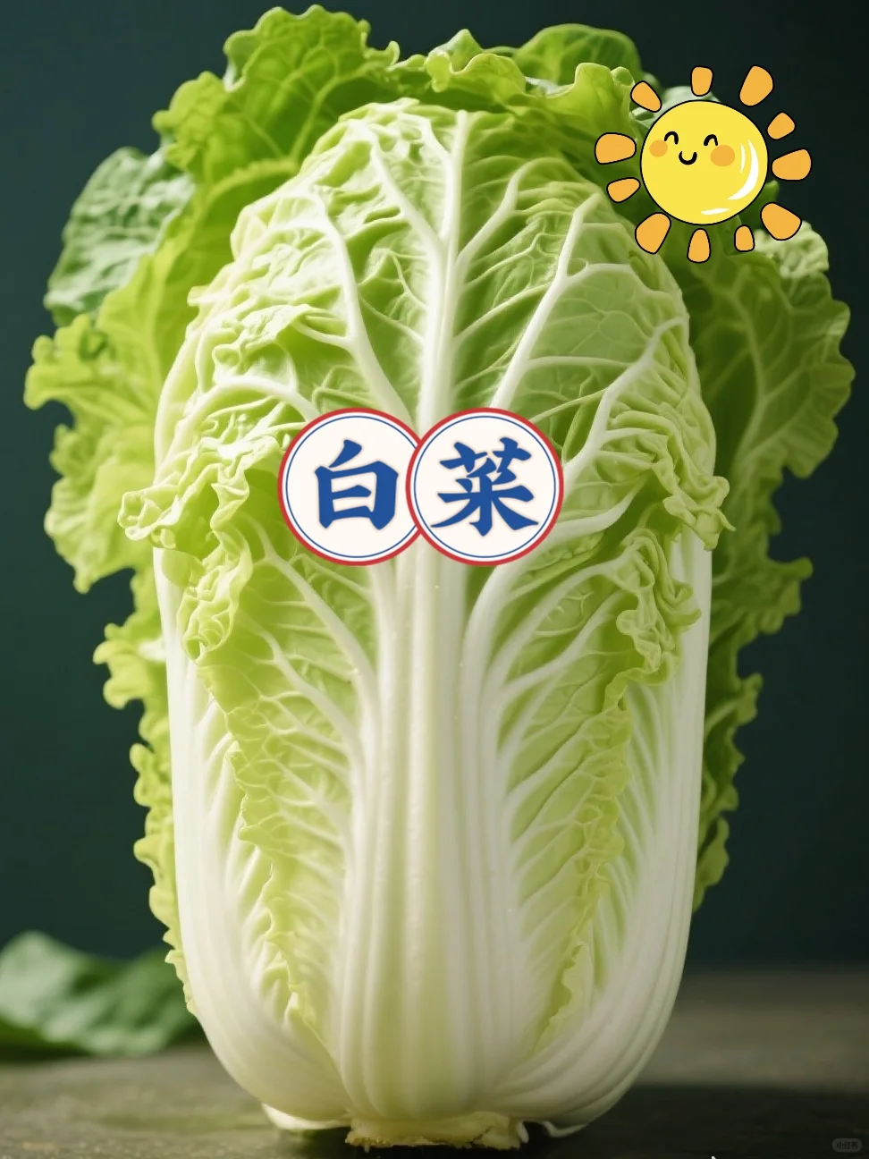 今年适合种植香菜的白露节气！