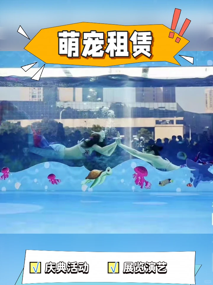 云浮企业活动海狮表演长期合作