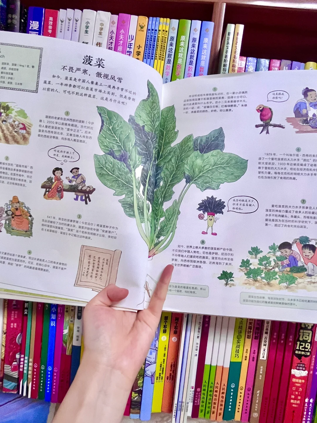 咋办呀!我真的沉醉在这绘本里了!命根子书!!